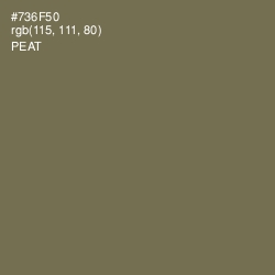 #736F50 - Peat Color Image