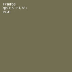 #736F53 - Peat Color Image