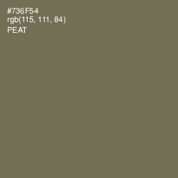 #736F54 - Peat Color Image