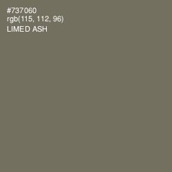 #737060 - Limed Ash Color Image