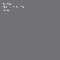 #737078 - Tapa Color Image