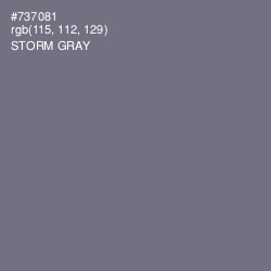 #737081 - Storm Gray Color Image