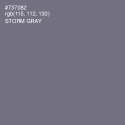 #737082 - Storm Gray Color Image