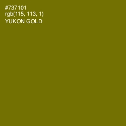 #737101 - Yukon Gold Color Image