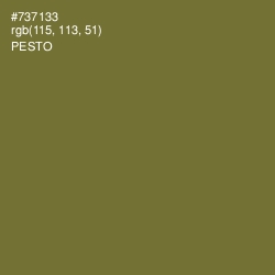 #737133 - Pesto Color Image