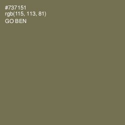 #737151 - Go Ben Color Image