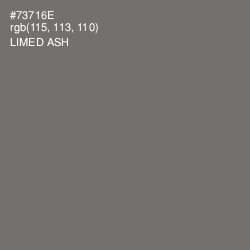 #73716E - Limed Ash Color Image