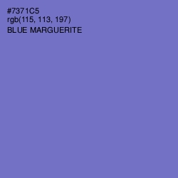 #7371C5 - Blue Marguerite Color Image