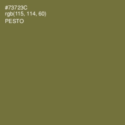 #73723C - Pesto Color Image