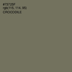 #73725F - Crocodile Color Image