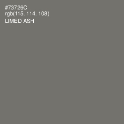 #73726C - Limed Ash Color Image