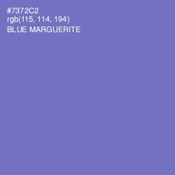 #7372C2 - Blue Marguerite Color Image