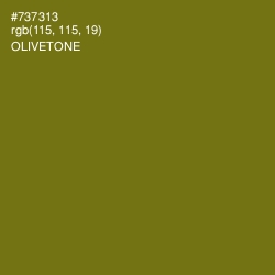 #737313 - Olivetone Color Image