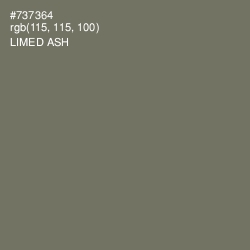 #737364 - Limed Ash Color Image