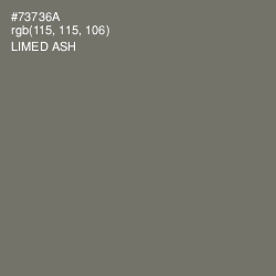 #73736A - Limed Ash Color Image