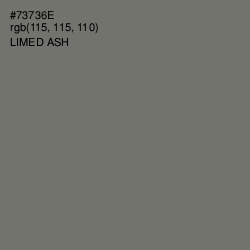 #73736E - Limed Ash Color Image