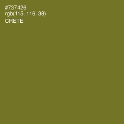 #737426 - Crete Color Image