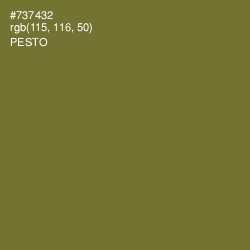 #737432 - Pesto Color Image