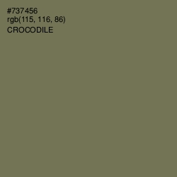 #737456 - Crocodile Color Image