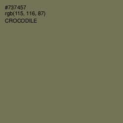 #737457 - Crocodile Color Image