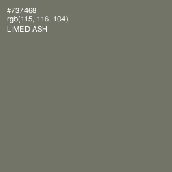 #737468 - Limed Ash Color Image