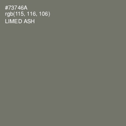 #73746A - Limed Ash Color Image