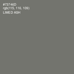 #73746D - Limed Ash Color Image
