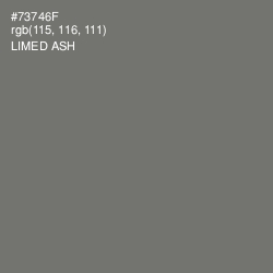 #73746F - Limed Ash Color Image