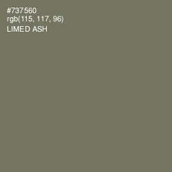 #737560 - Limed Ash Color Image