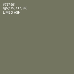 #737561 - Limed Ash Color Image