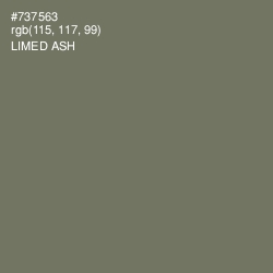 #737563 - Limed Ash Color Image