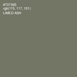 #737565 - Limed Ash Color Image