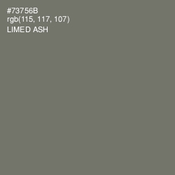 #73756B - Limed Ash Color Image