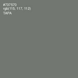 #737570 - Tapa Color Image