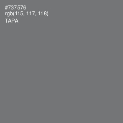 #737576 - Tapa Color Image