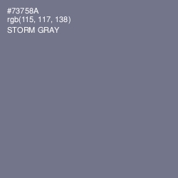 #73758A - Storm Gray Color Image