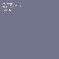 #73758D - Raven Color Image