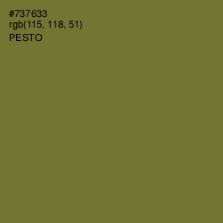 #737633 - Pesto Color Image