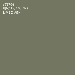 #737661 - Limed Ash Color Image