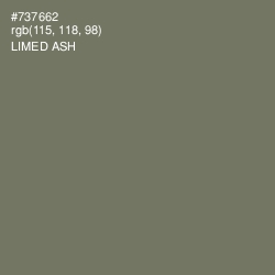 #737662 - Limed Ash Color Image