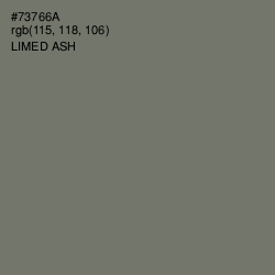 #73766A - Limed Ash Color Image