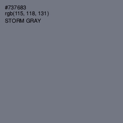 #737683 - Storm Gray Color Image