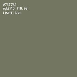 #737762 - Limed Ash Color Image