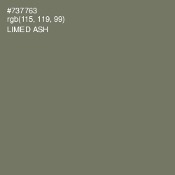 #737763 - Limed Ash Color Image