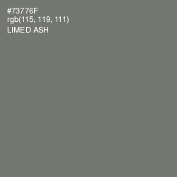 #73776F - Limed Ash Color Image