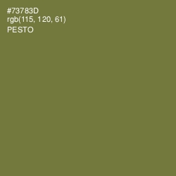 #73783D - Pesto Color Image