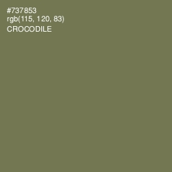 #737853 - Crocodile Color Image