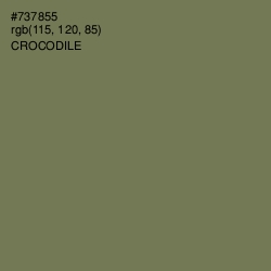 #737855 - Crocodile Color Image