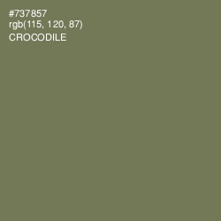 #737857 - Crocodile Color Image