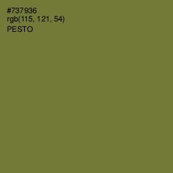 #737936 - Pesto Color Image